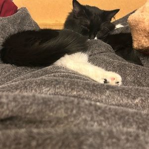 Meet your Posher, Charlie